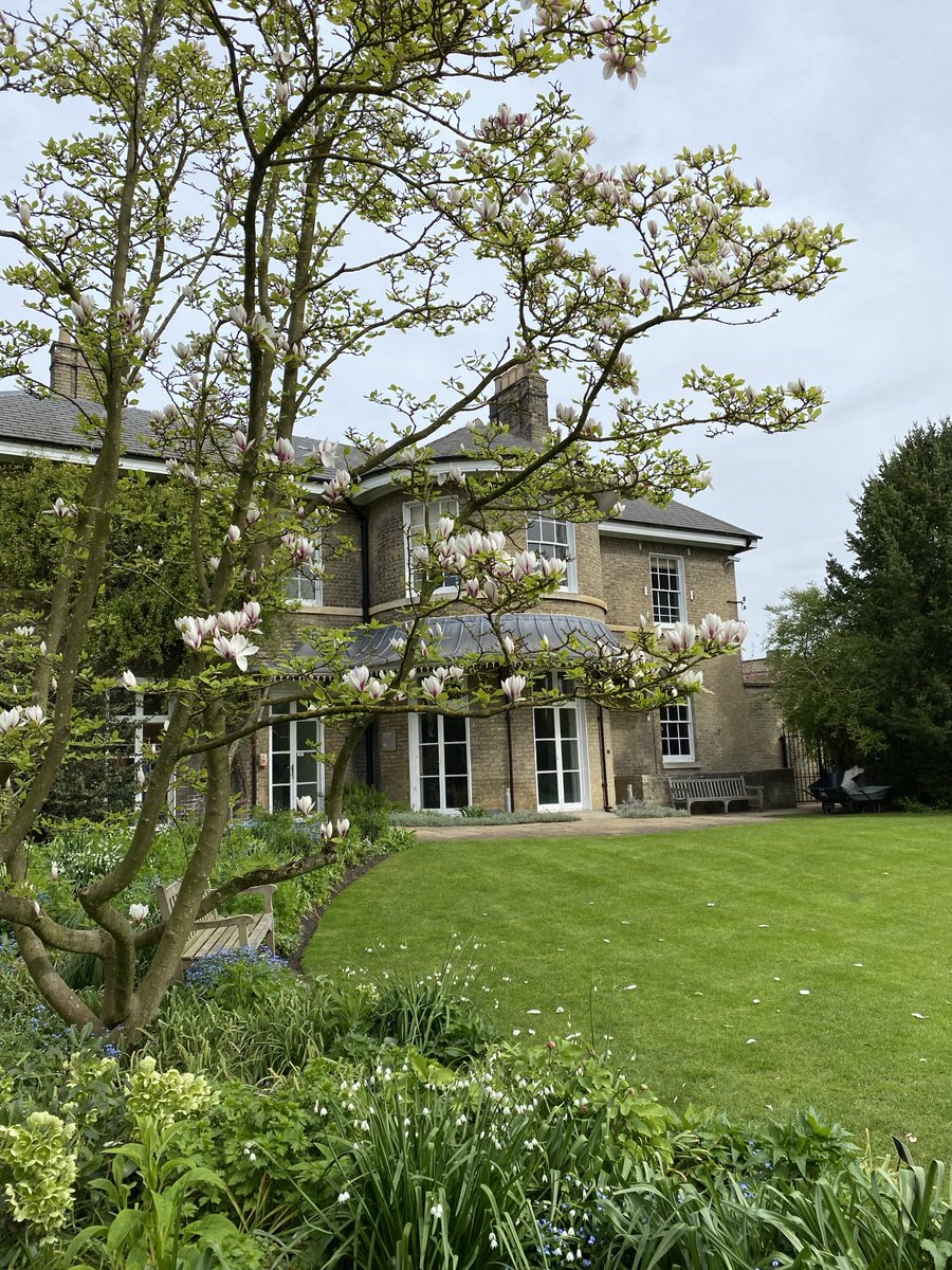 “Merrily, merrily, shall I live now, Under the blossom that hangs on the bough.” W. Shakespeare “Tempest” 📷Cambridge Botanic Gardens, last weekend Good morning everyone 🌺