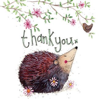 Have you visited our online shop? 🦔 There are all sorts of unusual #hedgehog gifts & goods - and all profits generated go directly to supporting the British Hedgehog Preservation Society! Have a browse! buff.ly/45YgUoj #shopsmall #charityshop #hedgehog #hedgehogs