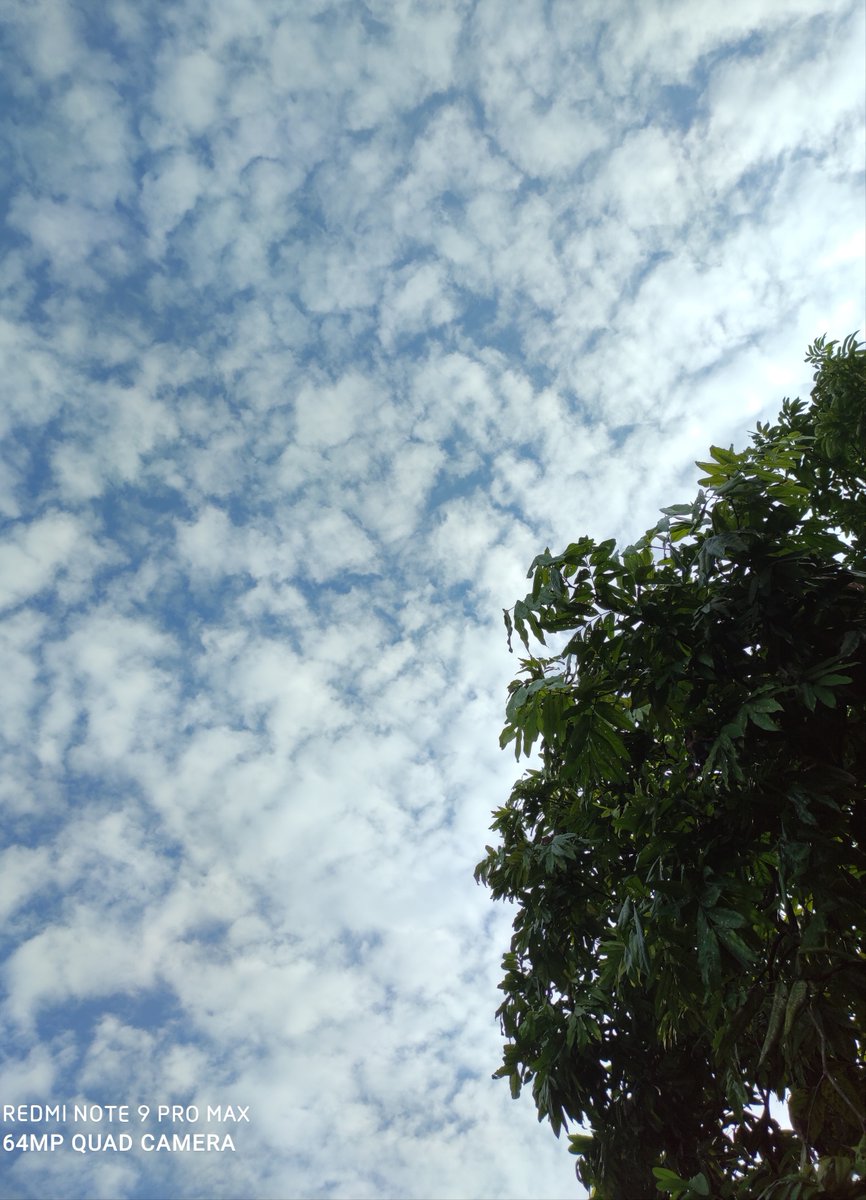 WeatherRadar_IN's tweet photo. Skies over Chamata, Nalbari! Thanks to Rajib Choudhury for sharing this weather update from Assam.  ☁️🌧️ 

Share your weather with us: https://t.co/6wJJkbx8PX

#AssamWeather #Chamata https://t.co/4PCJhPWpfm