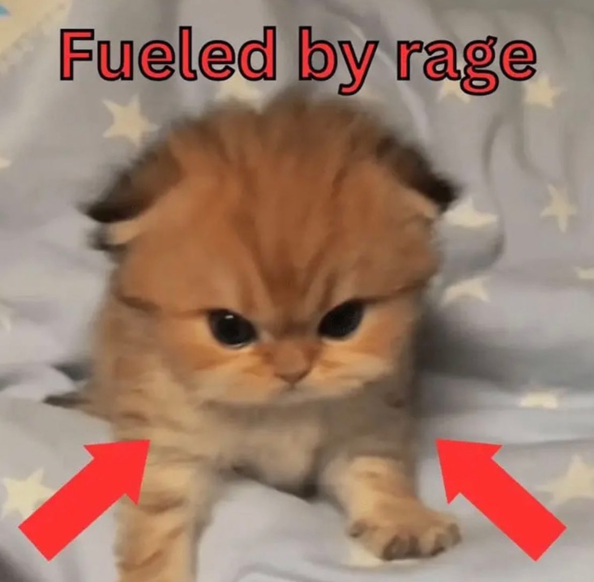 Direbeates's tweet photo. @instantcrush666 are you not tired?……. https://t.co/sUvqF1M66K