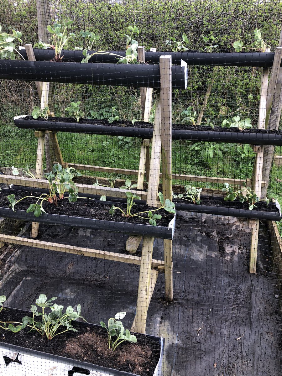 Joanne Caldwell tweet media