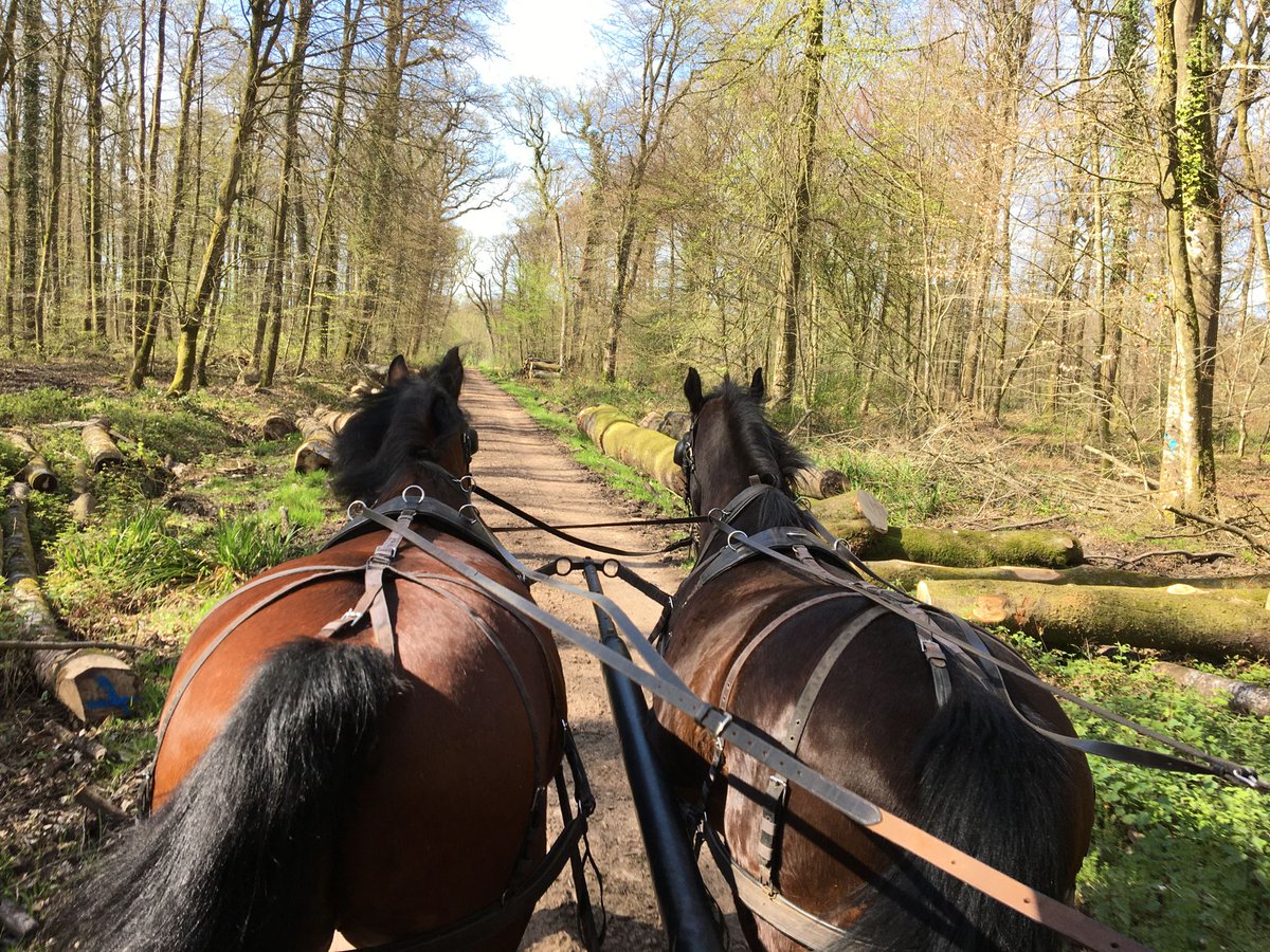 My sister lives in Normandy, France 🇨🇵 She sent me this photo: 'Today at work'