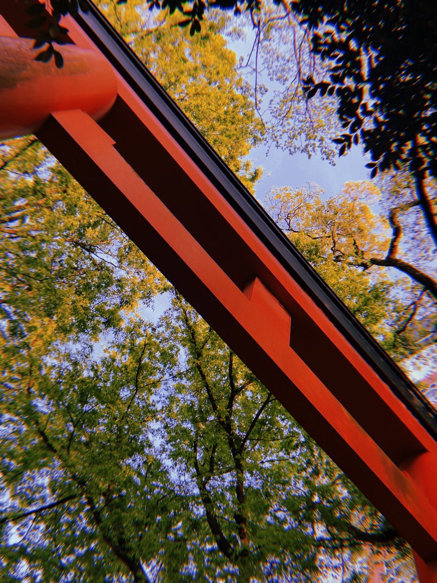 1022mirei's tweet image. 3日目終演致しました‼️
最後の振りを一緒にやって下さっている方がいて、嬉しくなってガン見しました😀🩵💦
残すところあと1回！全力で楽しみます！
その前に19時から♤チーム、ファイトォ〜！！📣

#BOTCHAN