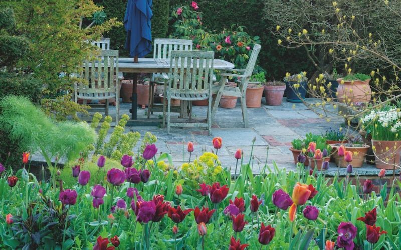 Editing is key to Tessa and Mike Crowe’s dramatic displays of tulips at The Oast in East Sussex, as they work with 4,000 bulbs and 30 varieties to create a spring masterpiece. buff.ly/3TR6cLB