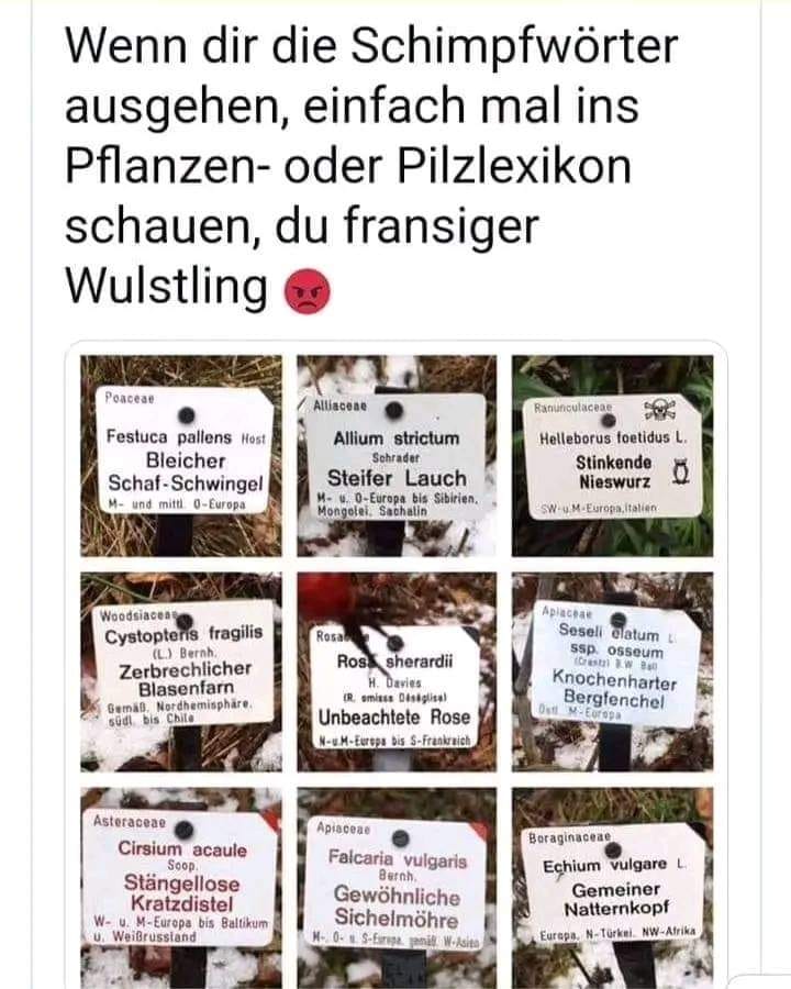 antanacum 📯 💉💉💉💉💉 (@robbymechtel) on Twitter photo 