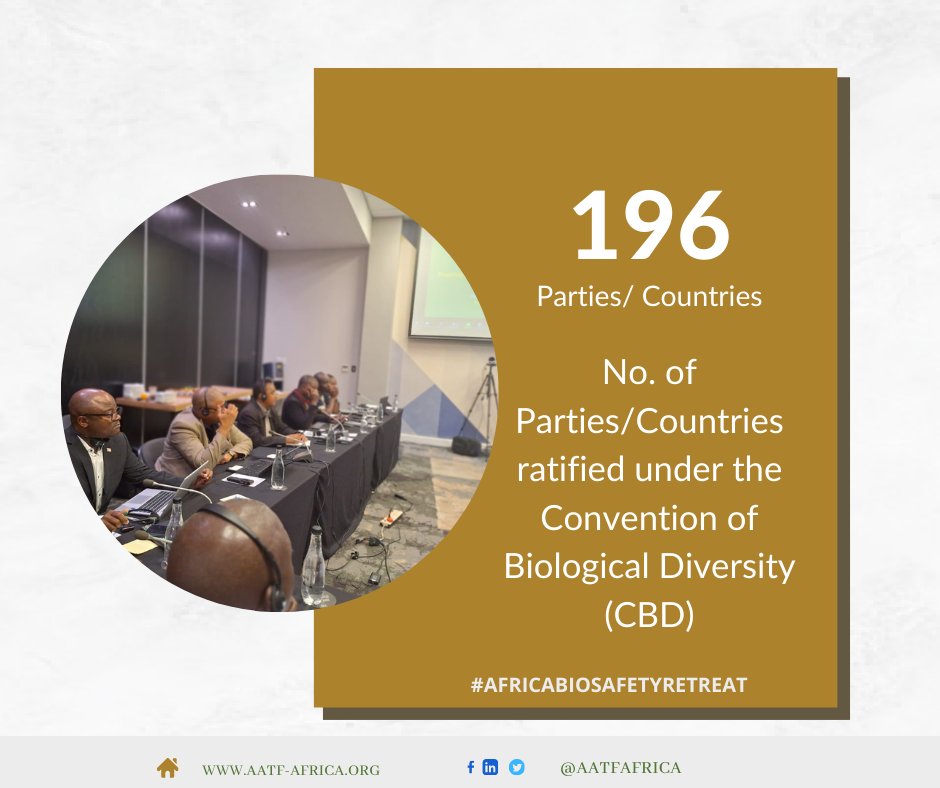 Did you know? Each party to the CBD is expected to develop national strategies, plans or programmes for the conservation and sustainable use of biological diversity (NBSAPs). Now you know. #africabiosafetyretreat #AATFAfrica #ProsperitythroughTechnology #ScalingforImpact