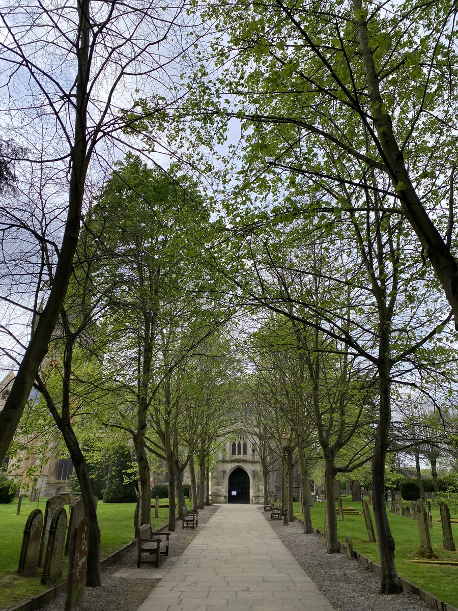 What a difference 48 hours makes. The leaves have gone from budding to green. It’s the beginning of the time of year visitors have trouble finding the church. If you come across any visitors in Old Town looking for Shakespeare’s Church, tell them it’s behind all the leaves.🫣🌿🫣