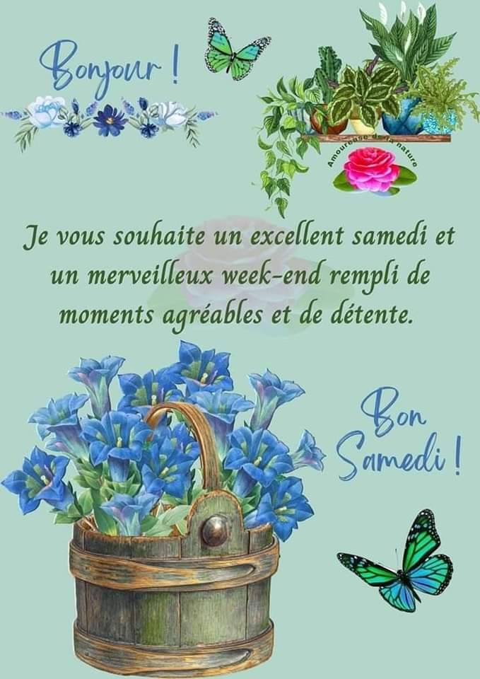 #bonjour #bonnejournée #nature #matin #positivywibes
@LdOptimistes @amelfaradji @Amoraek @Ecanbab