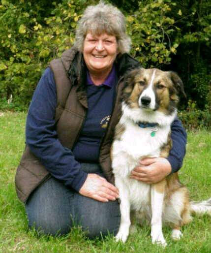 Can't beleave its 13 years ago today 13/04/2011 I signed Adoption papers for this gorgeous boy...🐾🐾🐕🤗❤️ #DannyBoySableWelshSheepdog
#AngelDannyBoy
#preciousmemories #happytimes
#gonetoosoon #gonebutnotforgotten
Happy Gotcha Day OTRB 🌈