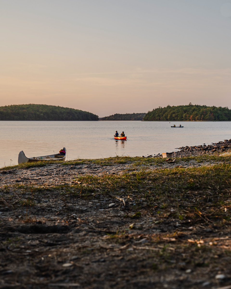 Chuck Wrathall tweet media