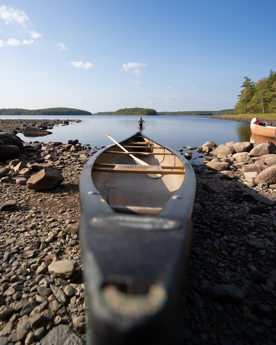 Chuck Wrathall tweet media