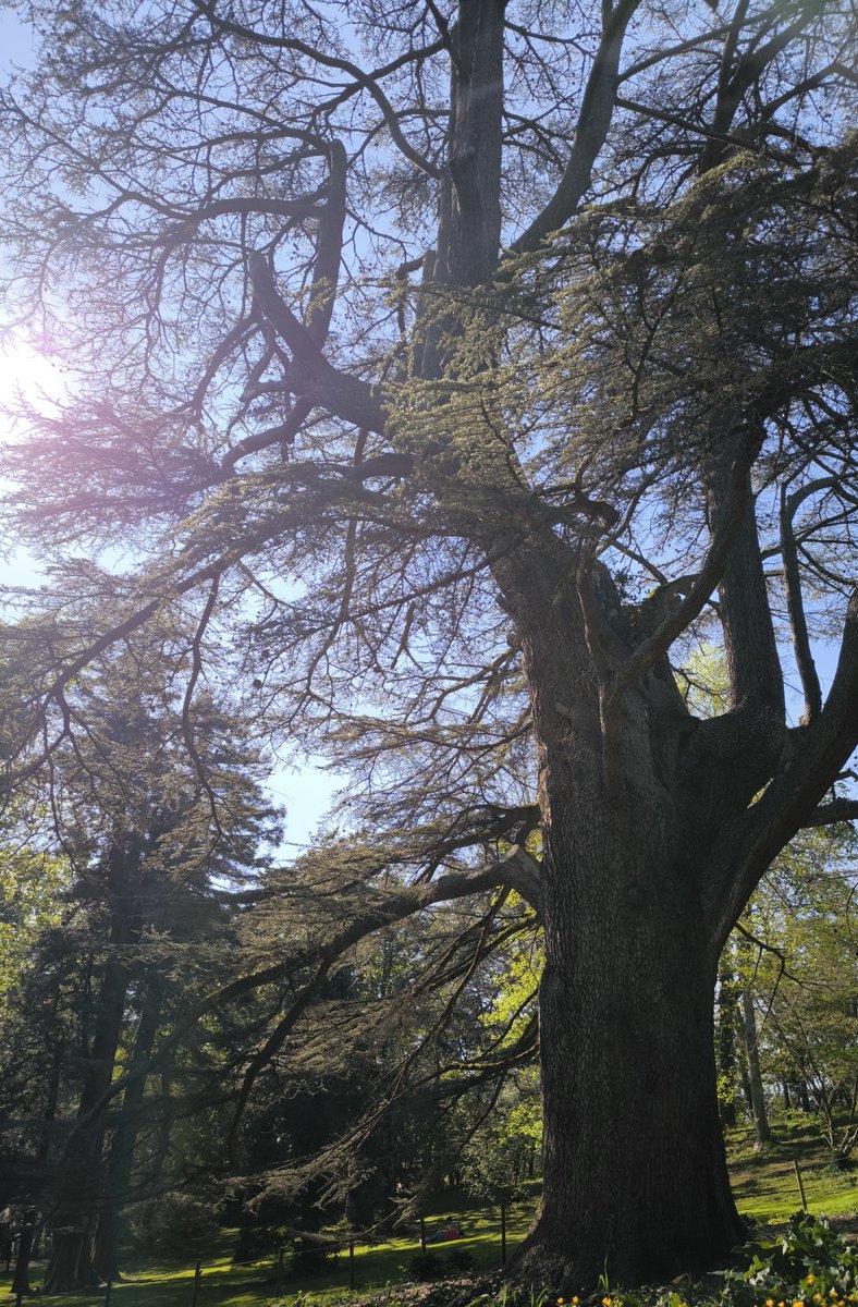 Hay días que amanece en ángulo recto, el sol se eleva y cae por inexplicable gravedad cósmica. Como una pelota lanzada al aire por un dios borracho. Esos días casi nunca pasa nada. Pero en su punto álgido antes del retorno, un guiño solar te ciega de vida y con eso es suficiente.