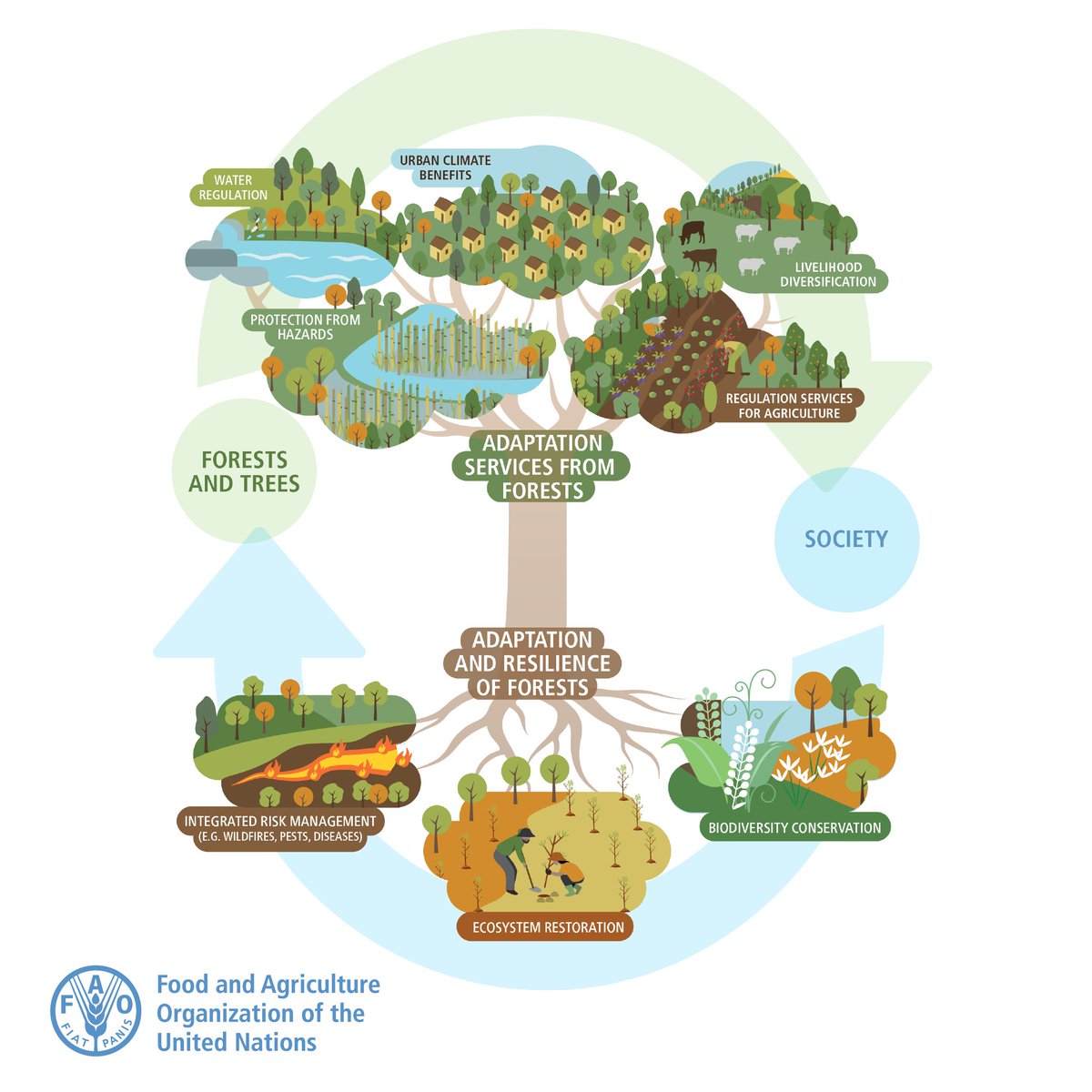 Forests are crucial in helping us adapt to #ClimateChange. They: 💧help ensure water availability 🌊 protect against landslides and floods 🏜️ prevent desertification 🧑‍🤝‍🧑 provide alternative livelihoods for people