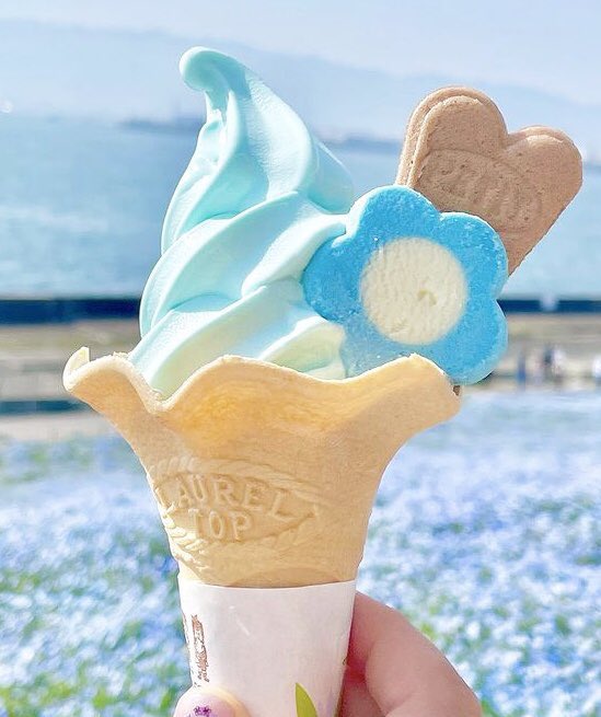 大阪まいしまシーサイドパークで開催中の「ネモフィラ祭り」限定で発売