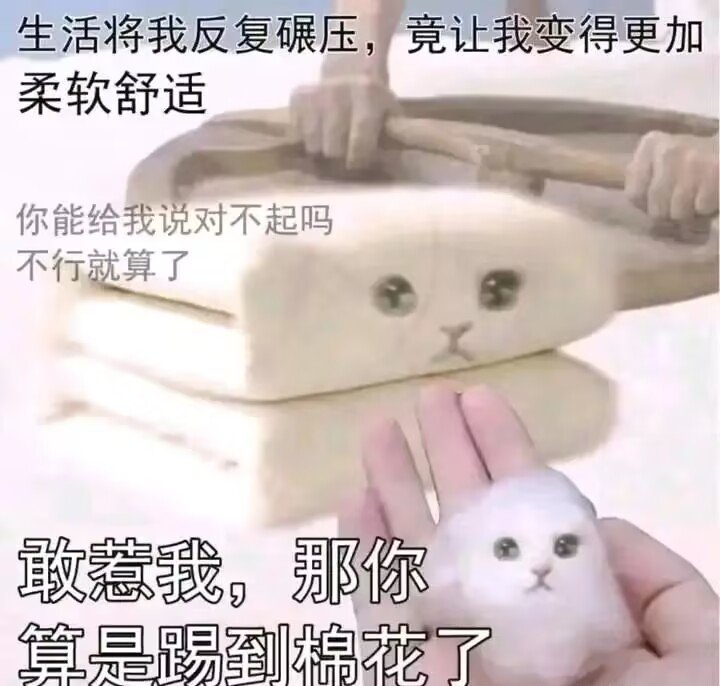 lnjzi's tweet photo. 想被投喂呜呜呜，孩子快没饭吃惹（希望有好心人留口令红包给咱）（赛博乞丐叫花子） https://t.co/Nn9U9DPnlz