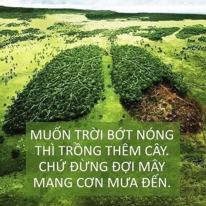 MmoAffiliateX's tweet photo. https://t.co/LiDPjcKq9k