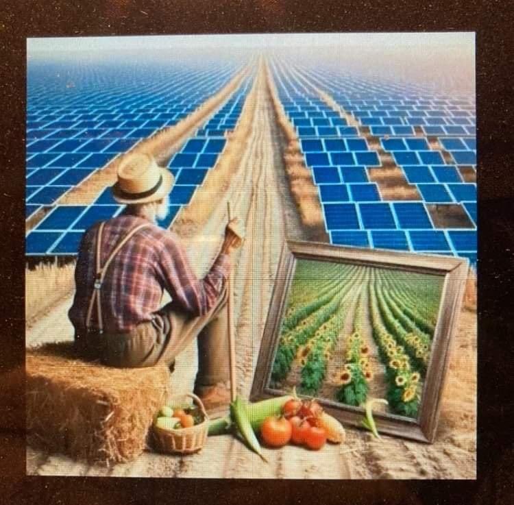 Solar panels are a scam. Australia 🇦🇺 needs nuclear ☢️ power, #Bitcoin and legal cannabis in all forms. Cheap energy Inflation proof currency Hemp Can’t lose.