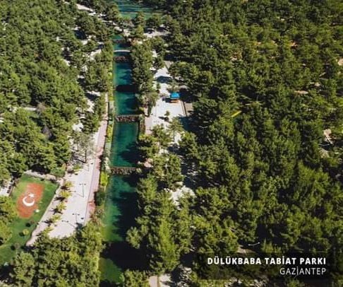 Gaziantep'te 40 yıl yaşayıp, giderken arkasında milyonlarca dikili ağaç bırakan Amerikan Hastanesi'nin müdürü Merrill Nickerson Isely.

Gaziantep'lilerin ona hitap ettiği isimle 'Mr. Ayizli'nin teklifiyle 1952'de Gaziantep Ağaç Yetiştirme ve Koruma Derneği kuruluyor.

Onun…