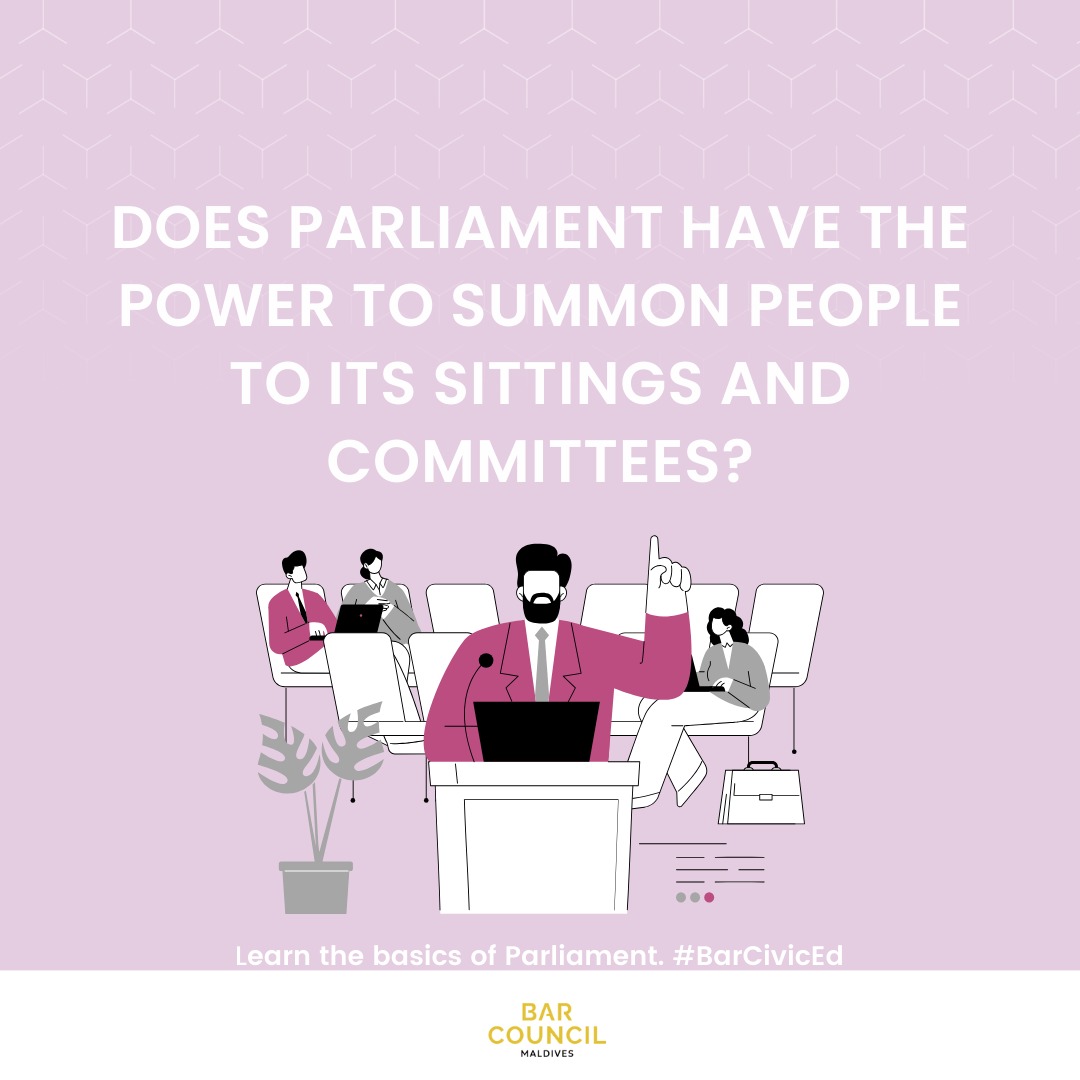 MvBarCouncil's tweet image. #Didyouknow that Parliament is mandated to receive your complaints, appeals, and recommendations? They also can call on anyone to testify at their meetings and committees to address these issues. 
#LegislativePower #BarCivicEd