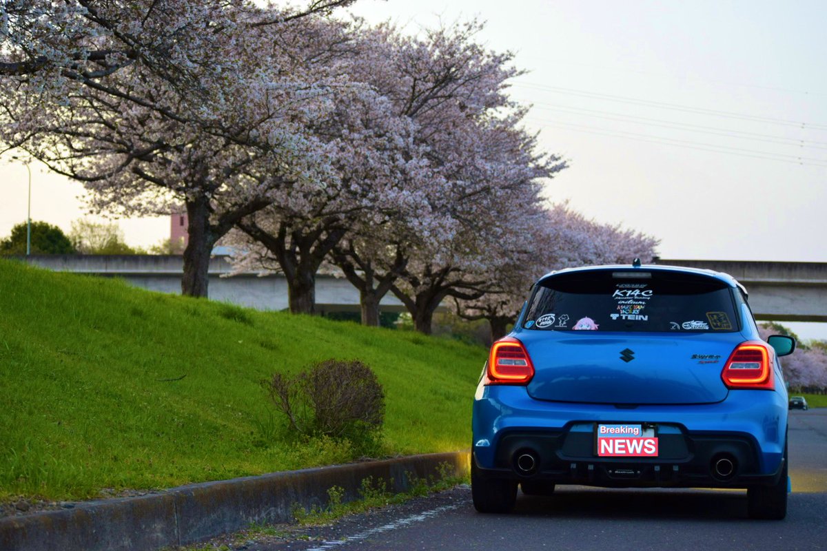 ZC33S_1001's tweet photo. スイスポと桜🌸 https://t.co/wFHqtBaryP