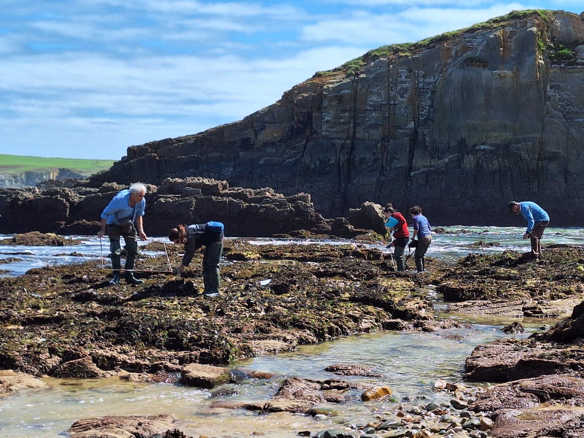 RosaChefaoui's tweet photo. Intense sampling activity at low tide https://t.co/7Kcs0aSRw4