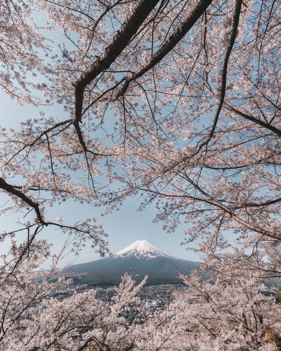 日本一の春