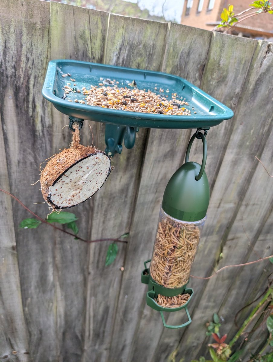 Upgraded my little bird feed station 🐦‍⬛ Love watching all the different types of birds that come to eat 😍