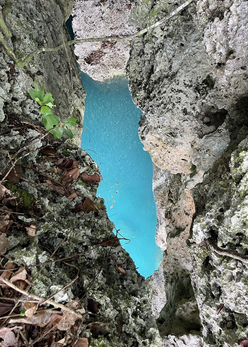 ikramwiese's tweet photo. pulau ambon di peta itu kecil sekali, pulaunya dikelilingi laut, gak heran banyak surga tersembunyi di pulau ini, dan hampir semua ada di pantai ☺️

ini 3 lokasi pantai berbeda, tapi punya ciri khas kurang lebih sama, coba tebak? 🏝️ https://t.co/oWmmzaS0kK
