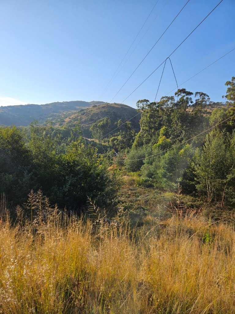 @CityPowerJhb tweet media