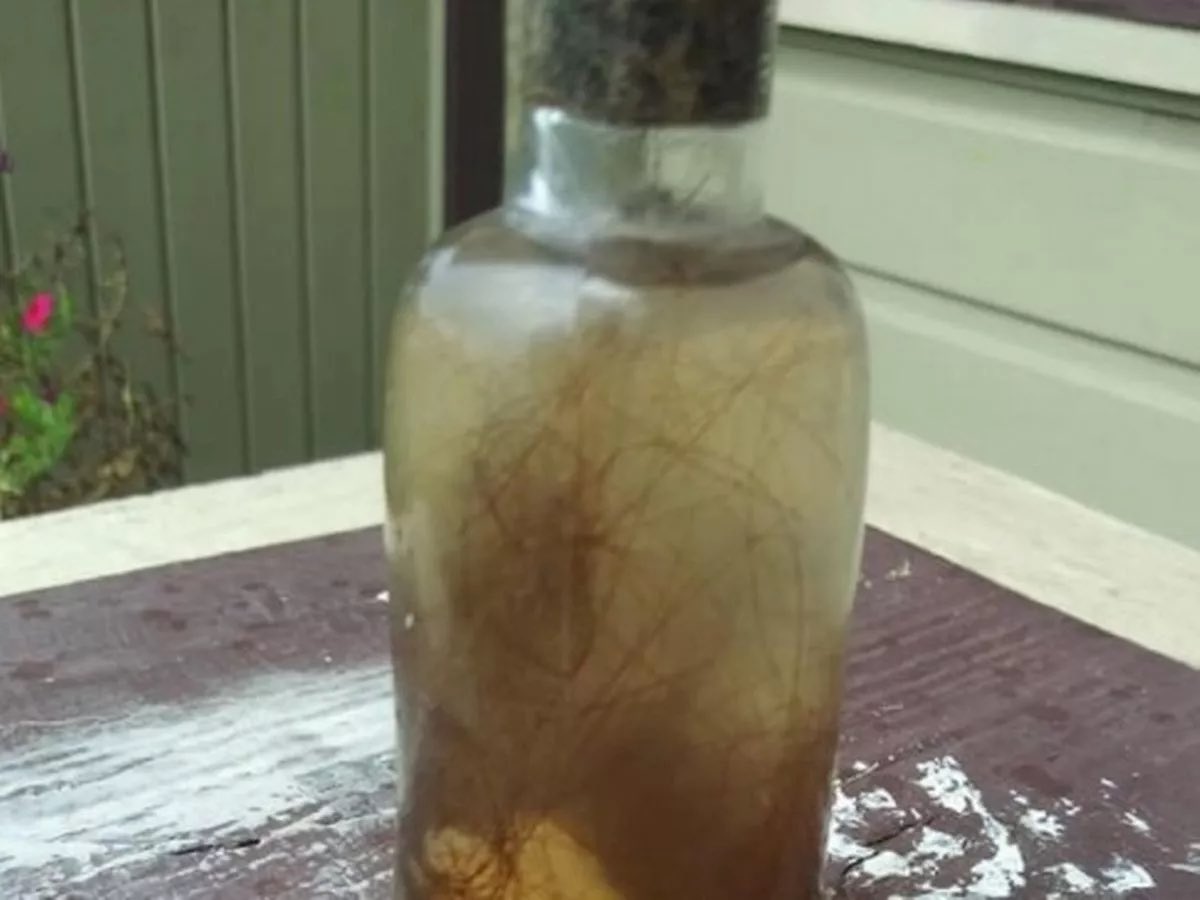 Mēdiji vēsta ka pie bijušā premjerministra Krišjāņa Kariņa mājas durvīm esot atrasta uzrūgusi kombučas burka