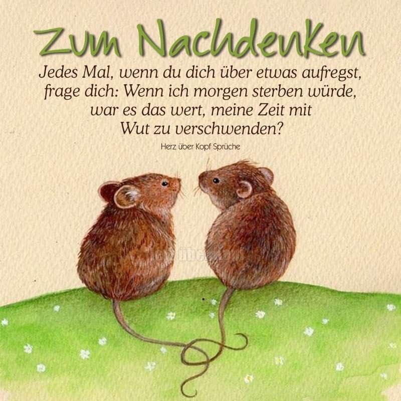 Wochenendgedanke: Wenn du morgen nicht mehr bist, waren diese Aufreger heute es wert? 🤔 Zeit zum Nachdenken! #Lebensqualität #Wochenende #Nachdenken