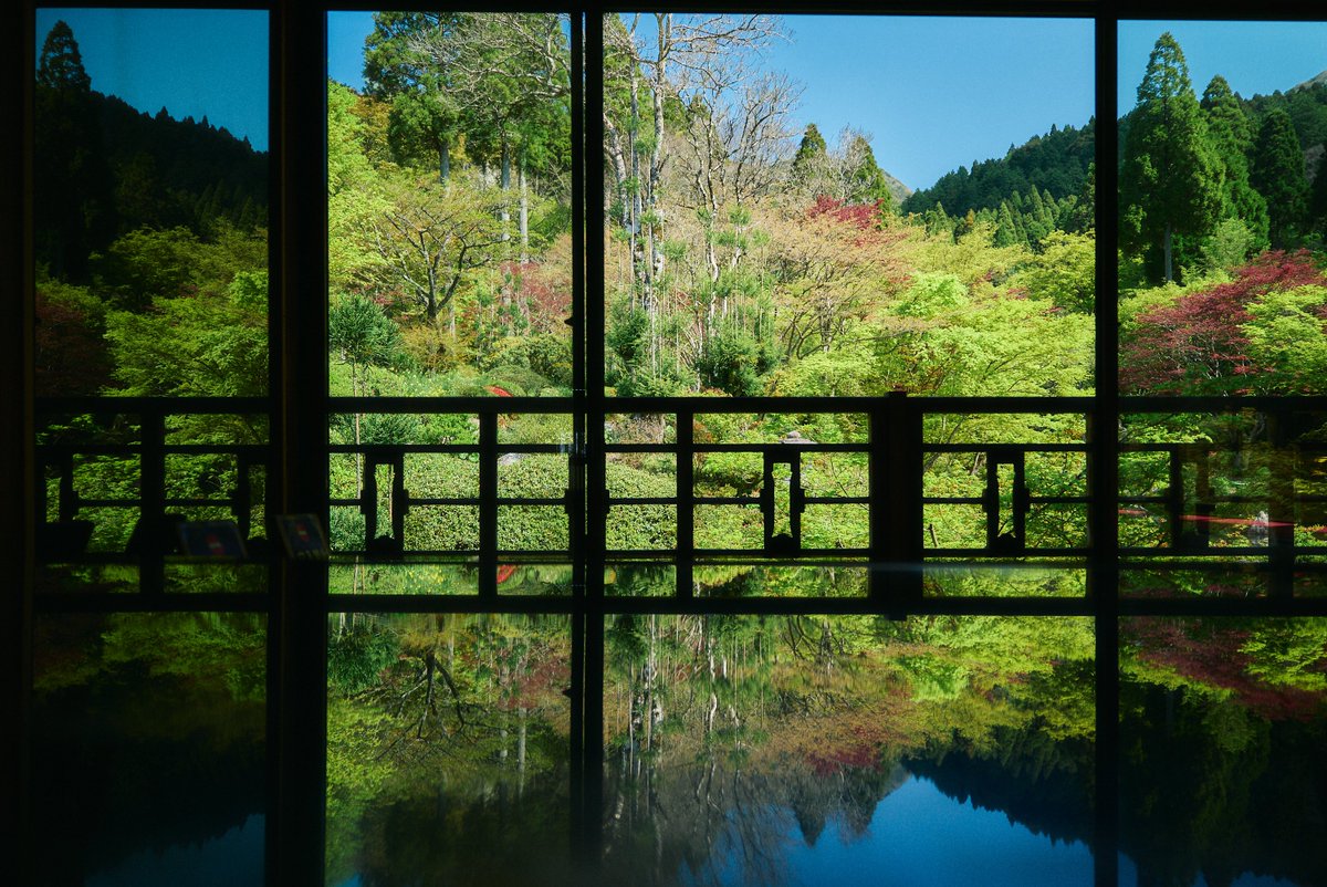 新緑と青空