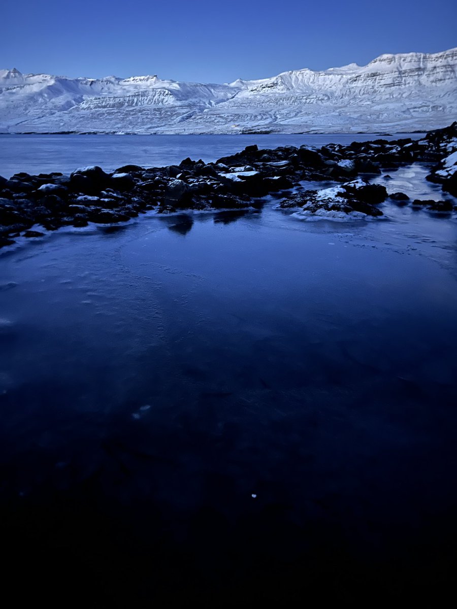 Introducing ✨ Miracula polaris ✨ - a beautiful new oomycete species infecting cold-loving species of Melosira - of which some form dense mats under sea ice. Found in a rock pool at our research station Blávík in East Iceland 🇮🇸. tandfonline.com/doi/epdf/10.10…