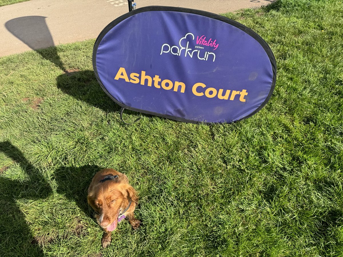 john_gleave's tweet photo. Back to ⁦@ashtonctparkrun⁩ ⁦@parkrunUK⁩ @Ashton_Court_⁩  this morning for 2 and 4 legs. The sun ☀️ even put in an appearance 👍 https://t.co/f1KvWatx8x