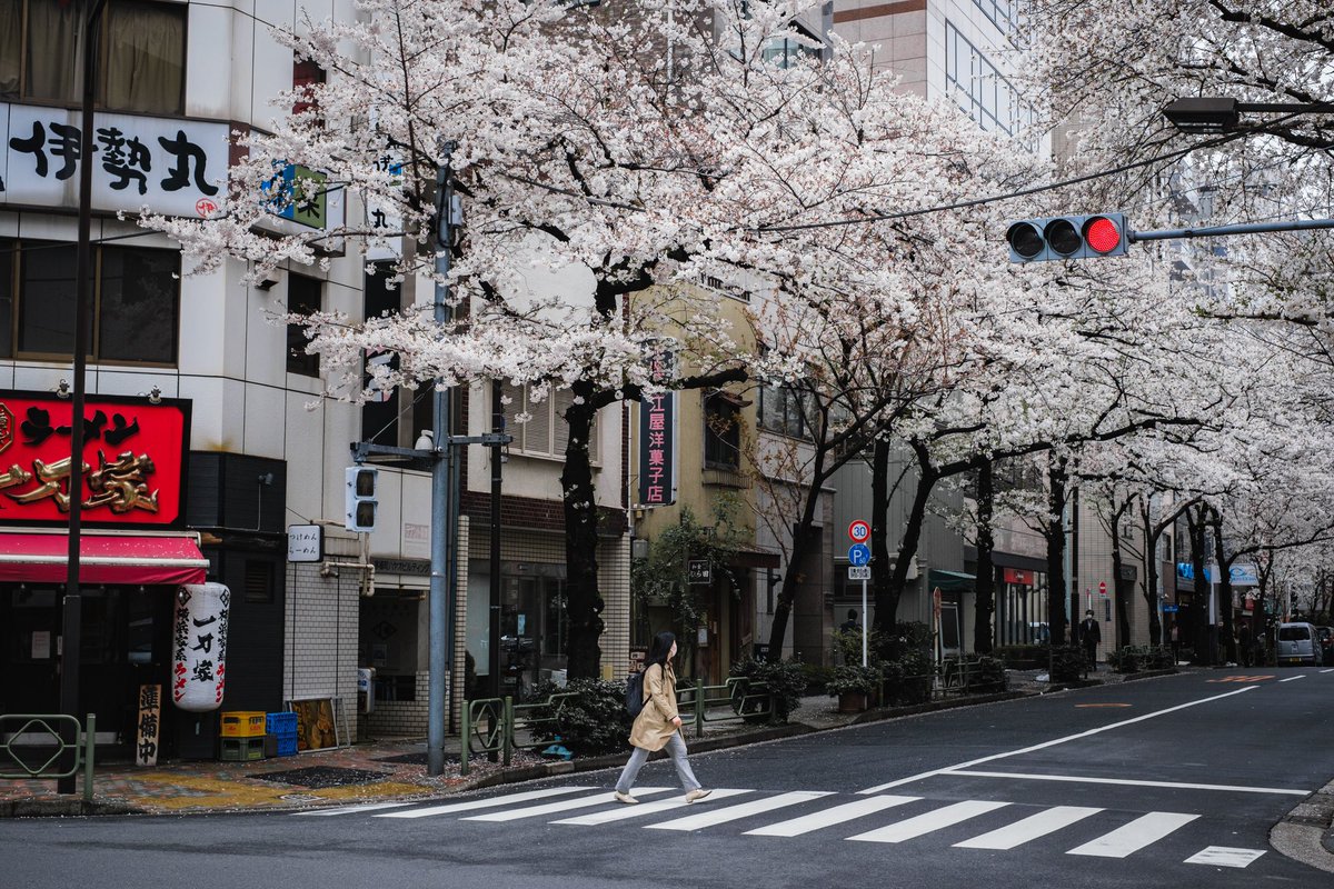 東京の桜スナップ。