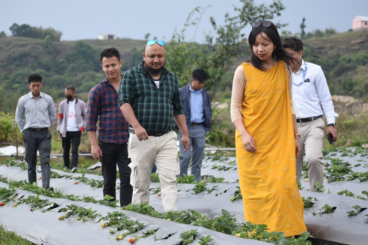 Glimpses of the Inaugural day of the Strawberry Festival 2024 held across East Khasi Hills District held on April 12, 2024.
