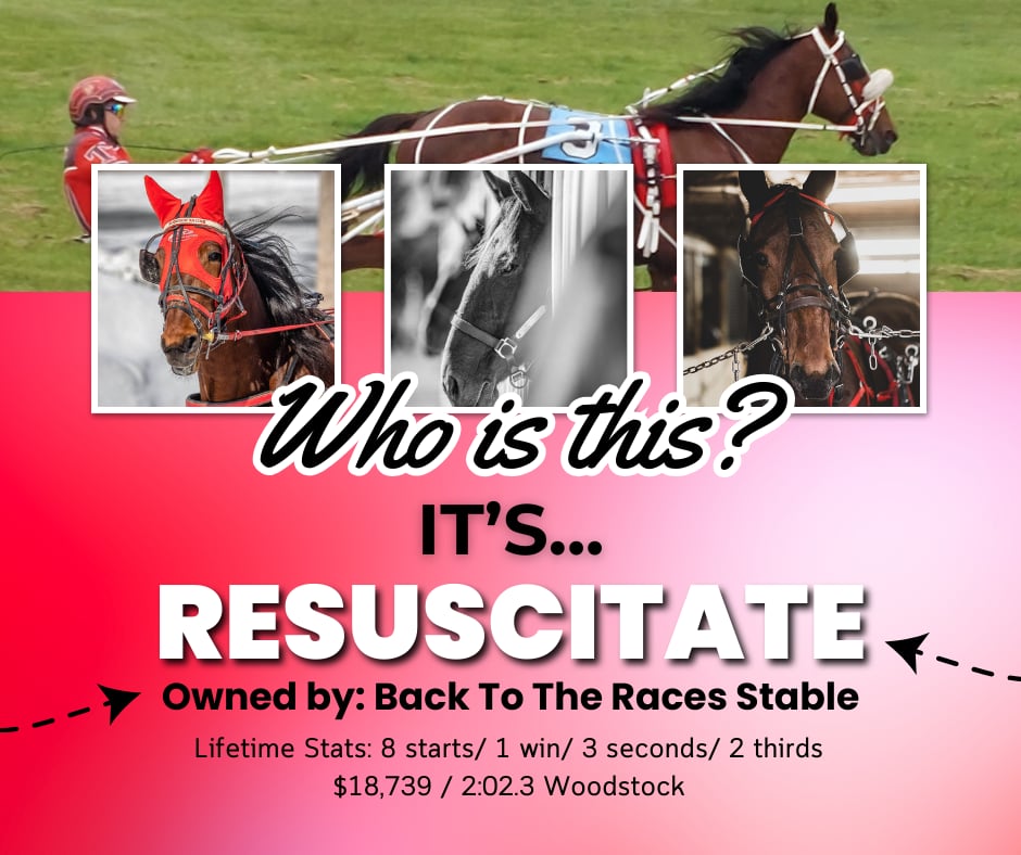 It's...Resuscitate! Affectionately known as Burrito! 🌯