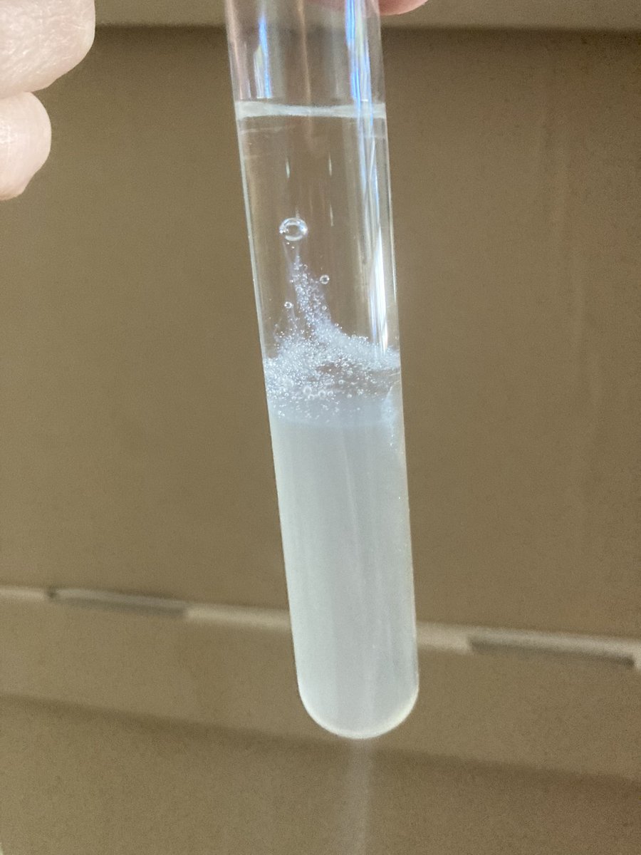 ScienceT_Esther's tweet photo. Este año he probado con plátano y, la verdad, ha salido la extracción de ADN muy bien. #ProfesBioGeo las prácticas de laboratorio siempre triunfan y luego las trabajamos en clase para que no quede como algo anecdótico #claustrovirtual https://t.co/3CJy64ufe2