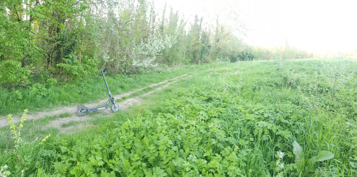 JeaneDARK3's tweet photo. Une petite ballade pour se ressourcer🙏🙂���🌳🍃
La foret de nos ancêtres 
Val Parisis 95. https://t.co/g2z3lbOwRZ