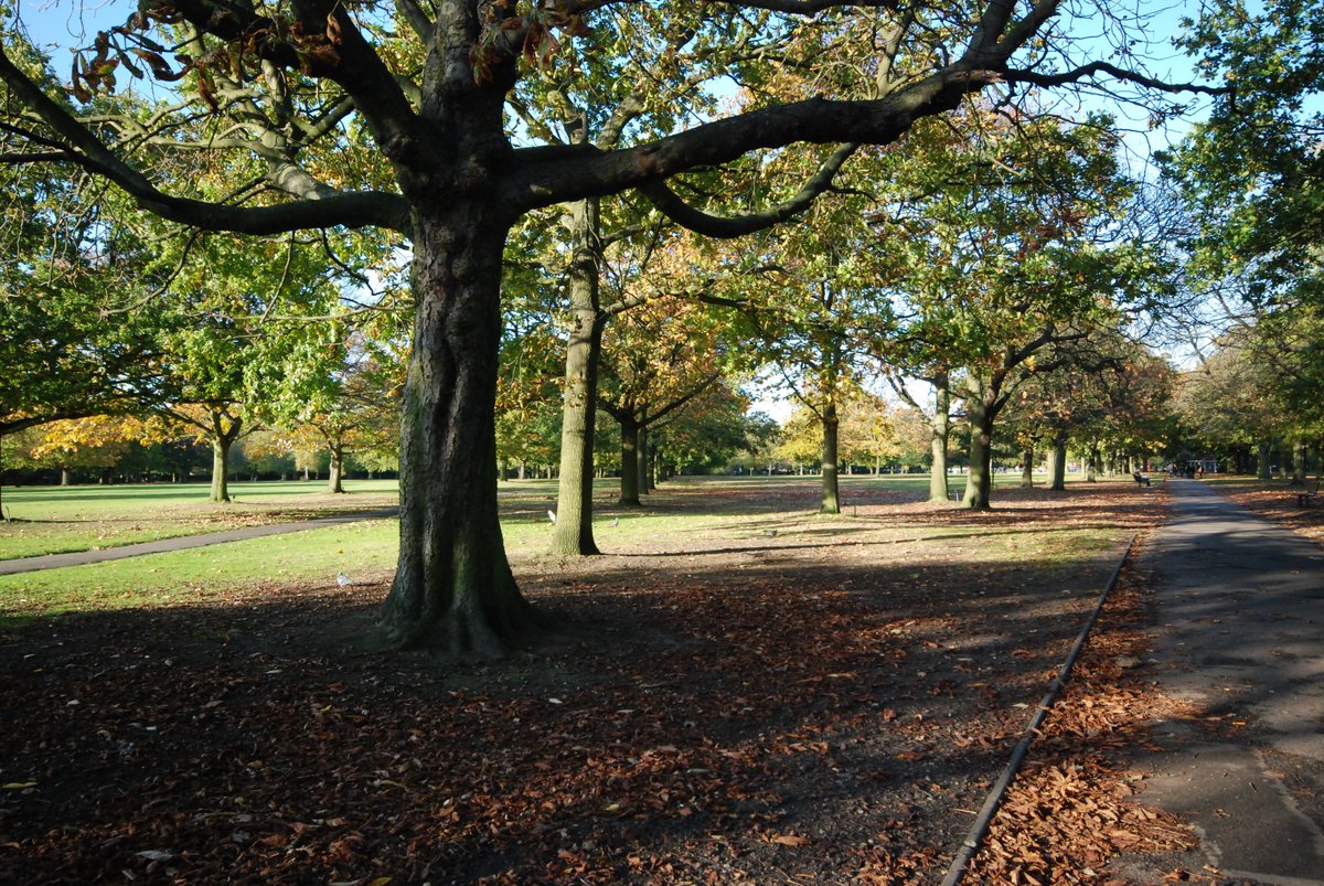 The borough has been recognised as a Tree City of the World for creating outstanding green spaces in urban areas. This is part our commitment to create more greenery and our plan to invest £28m in free-range urban neighbourhoods. Read more: orlo.uk/QaeyC