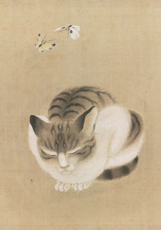 x1ngwu's tweet image. 𝐓𝐡𝐞 𝐘𝐞𝐥𝐥𝐨𝐰 𝐃𝐞𝐦𝐨𝐧
For this #caturday,  I want to share a Chinese #folkTale about a yaoguai/#yokai that preys on cats, recorded in the Qing Dynasty's 'Guangyang Miscellaneous Records'.
Warning: Contains descriptions of cruelty.
👇 1/4