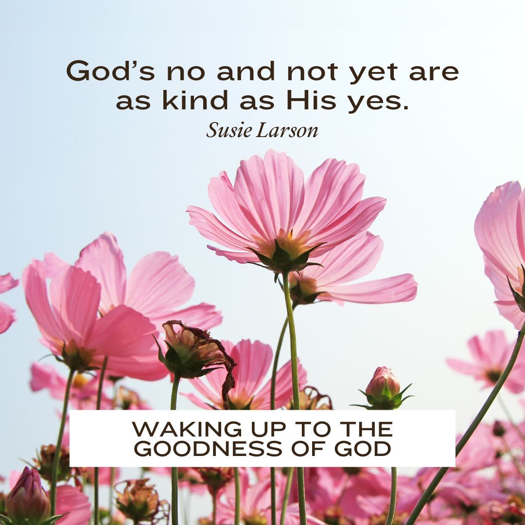 God’s abundant provision looks different in the varying seasons of life. His goal is never to spoil us; it’s to transform us until we’re like His Son, brimming with holy confidence and humble dependence, bursting with kingdom passion and Calvary love.