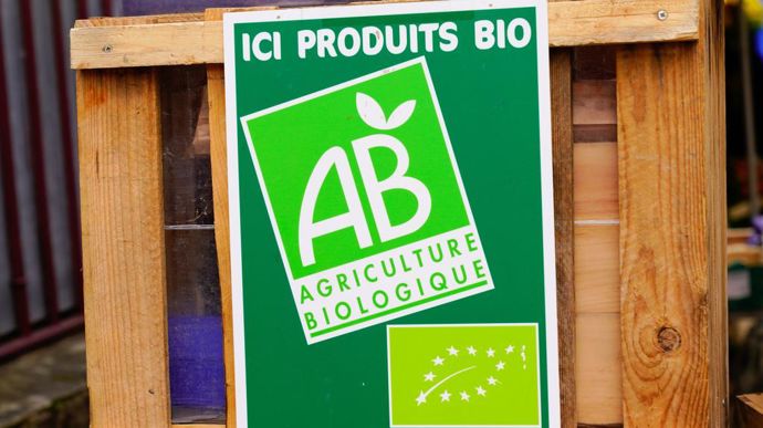 Y-a-t-il des changements dans la #Pac 2024 pour l’#agriculture #biologique ? Quelles sont les étapes de la télédéclaration ? Bio Nouvelle-Aquitaine fait le point. #France #PAC2024 👉 agri-mutuel.com/politique-econ…