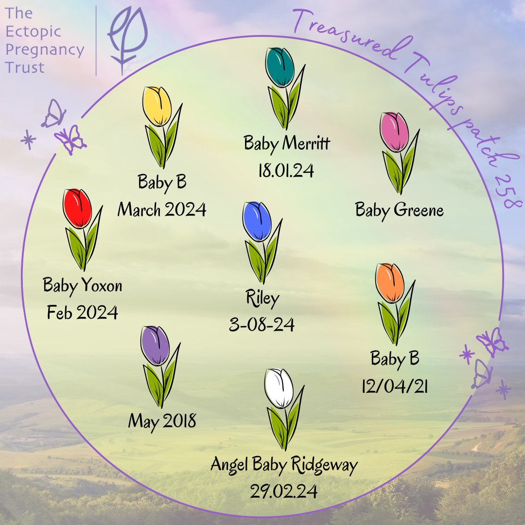 Today we share our Treasured Tulip patch numbers 256, 257 and 258 with you. With each Tulip we add to our virtual gardens, we are honoured that we are able to play a small part in commemorating your experiences: ectopic.org.uk/treasured-tuli…