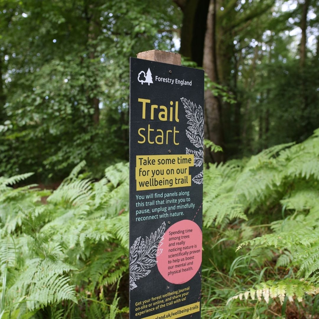 Looking for a new way to unwind this weekend? Our free wellbeing trails can help you to breathe away the worries from the week while connecting to your mind and body in nature 🌳 Try it for yourself 👉 forestryeng.land/wellbeing-trai…