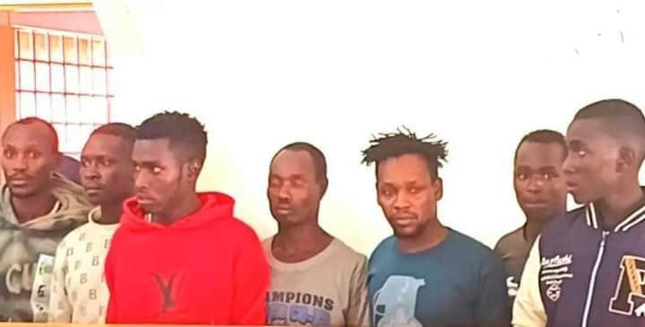 IsaacOmwansa's tweet image. Kipyegon ni mgani kwa hao?Alikatalia juu 😂