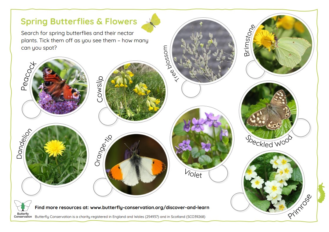 If the sun comes out for us this weekend, why not head out with the family and see if you can spot a spring butterfly? 🌸🦋

Check out our top tips and download the spring spotter sheet 👉 butrfli.es/3nbazVw