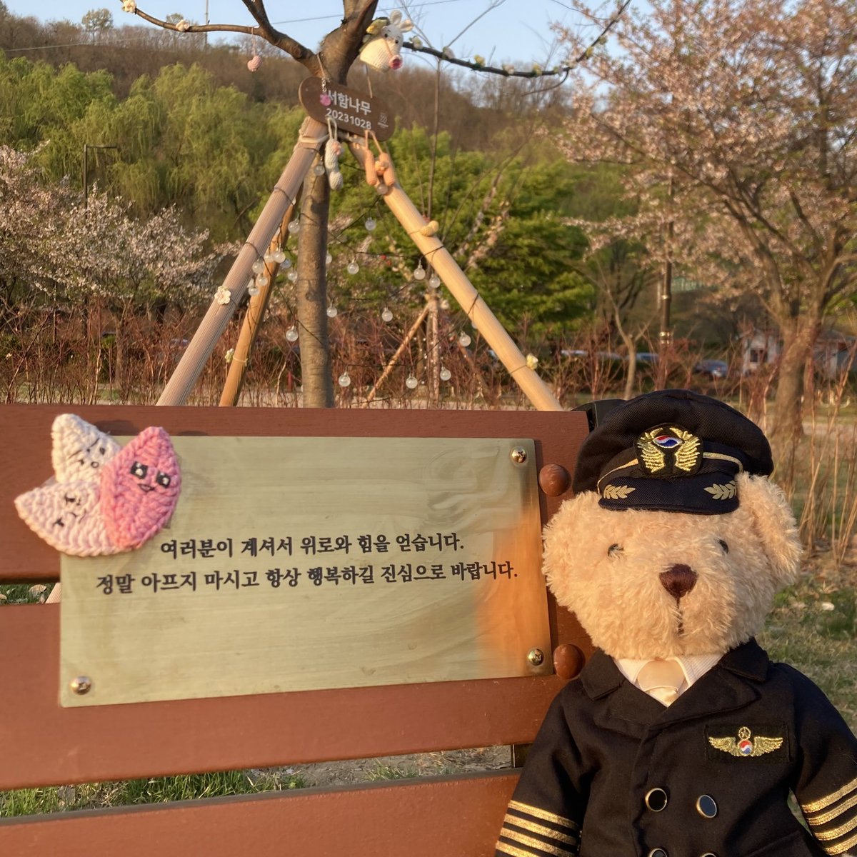 zenmode7's tweet photo. 서함숲 나들이! 지킨다!! #박서함 #parkseoham #서함숲 https://t.co/vWFJvJZb1A