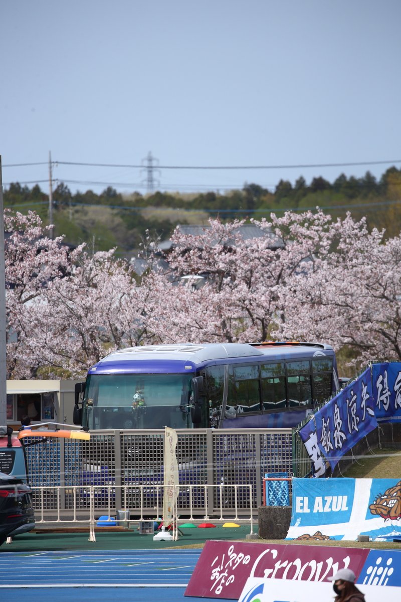 桜と水戸選手バス。私的には今のデザインになってから初めてのコラボです。 #0413栃木戦 #水戸の桜 #桜2024 #桜 #茨城交通 #水戸ホーリーホック