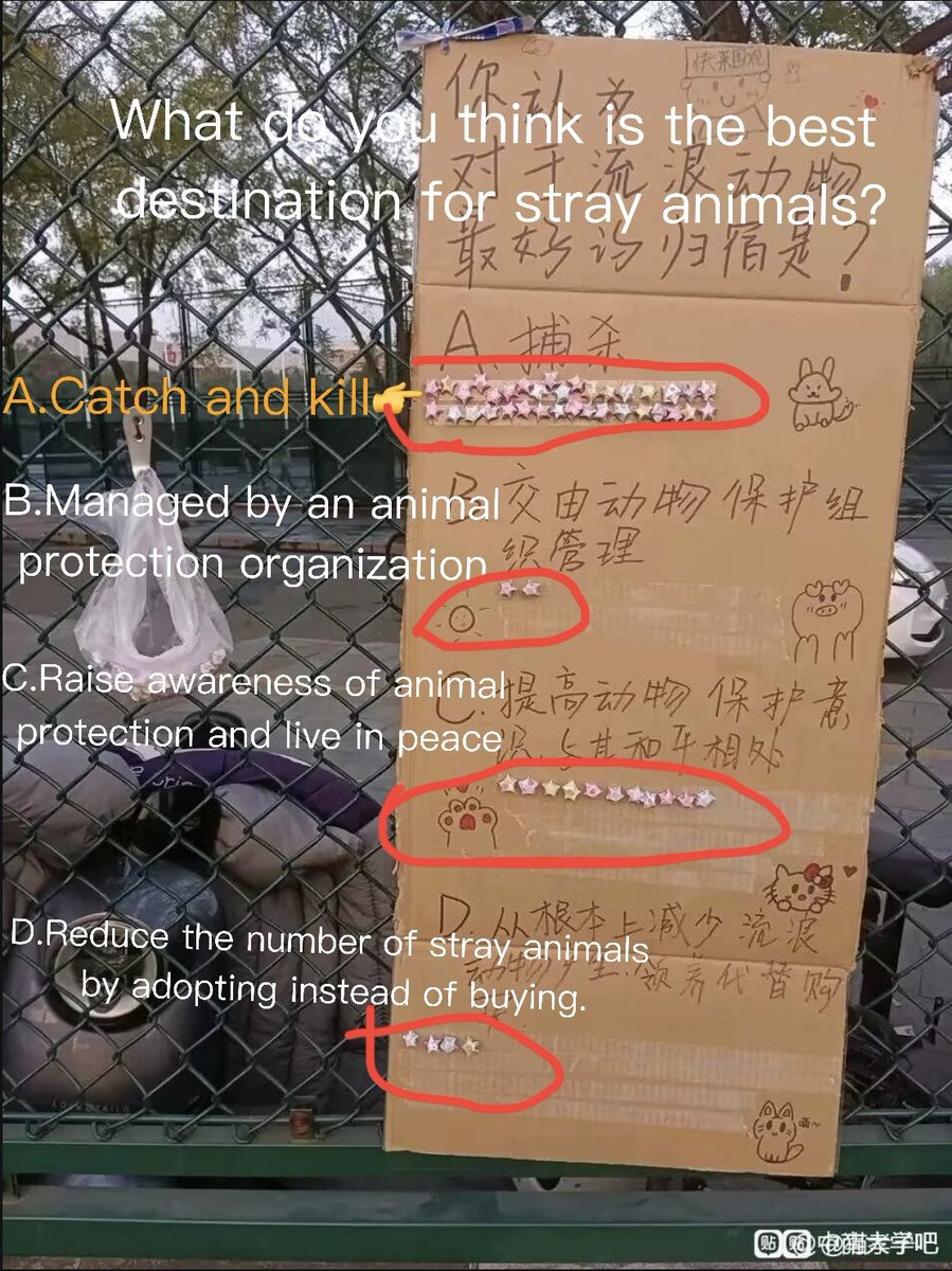 This is a survey on stray animals conducted by a university in #China .